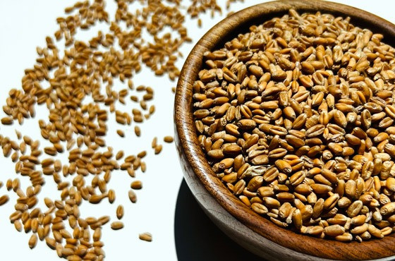 Продаж пшениці необробленої Івано-Франківськ - зображення 1