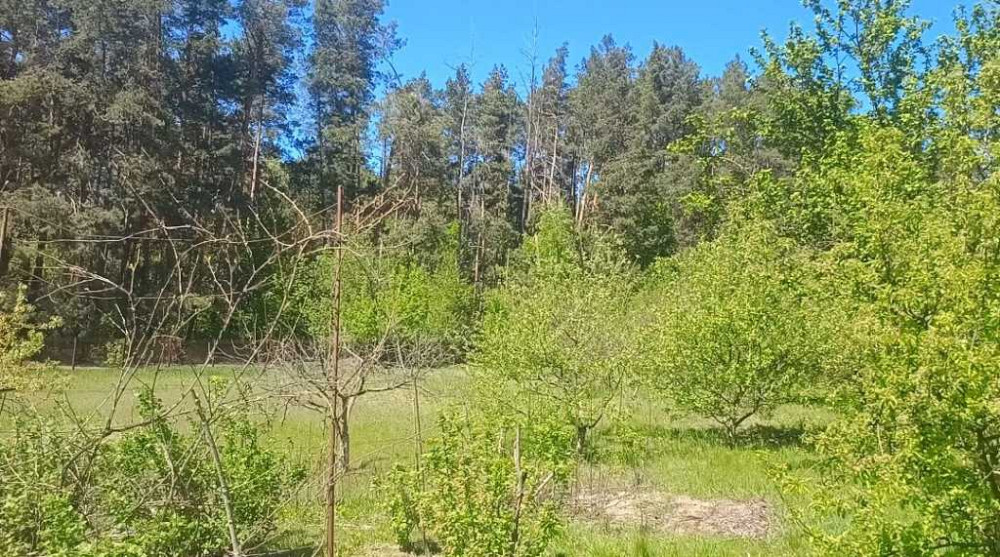 продажа участок под жилую застройку Васильковский, Хлепча, 63000 $  - изображение 5