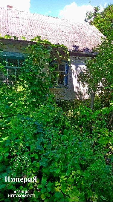 Продам участок 66 соток с домом в Коржевке. Біла Церква - зображення 5