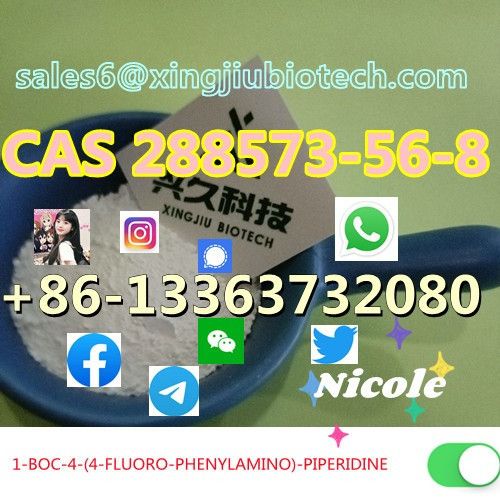 Most Popula 288573-56-8 1-BOC-4-(4-FLUORO-PHENYLAMINO)-PIPERIDINE