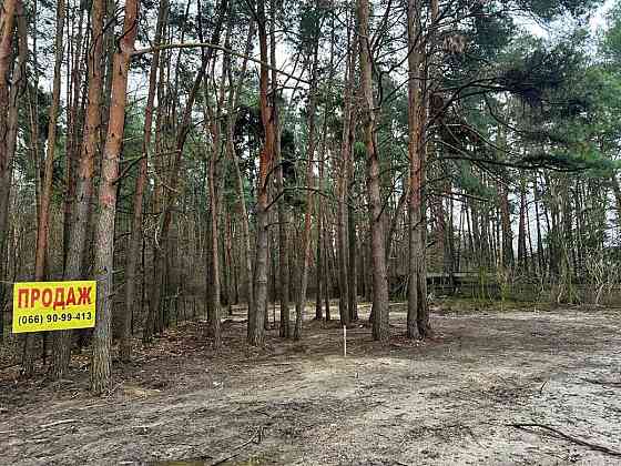 продажа участок под жилую застройку Васильковский, Варовичи, 31500 $ 