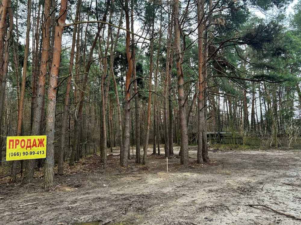 продажа участок под жилую застройку Васильковский, Варовичи, 31500 $  - зображення 1