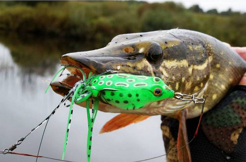Воблер Лягушка жабка Не цепляется за траву на щуку Борисполь - изображение 3