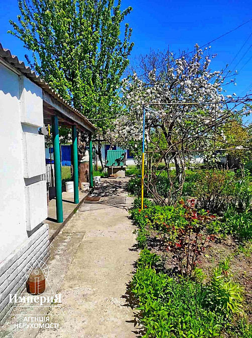 Продам дом с большим участком в Малой Сквирке. Біла Церква - зображення 5