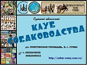 Приглашаем в Сумской областной КЛУБ СОБАКОВОДСТВА Сумы