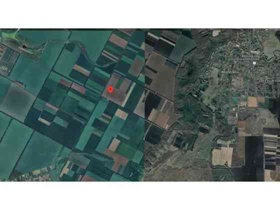 продажа земля сельскохозяйственного назначения Карловский, Федоровка, 181900 грн. 