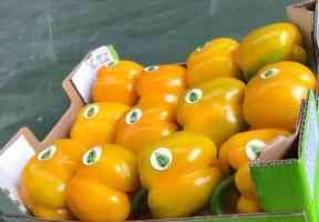 Продаем перенц Київ