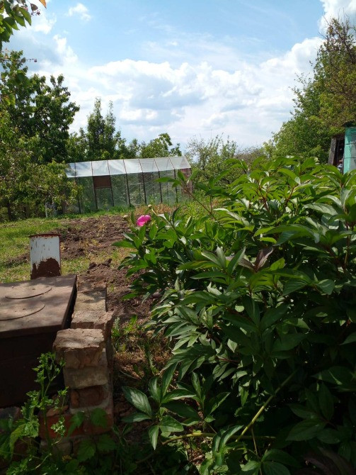 Продається дачний будинок, Білоцерківський р-он Біла Церква - зображення 3