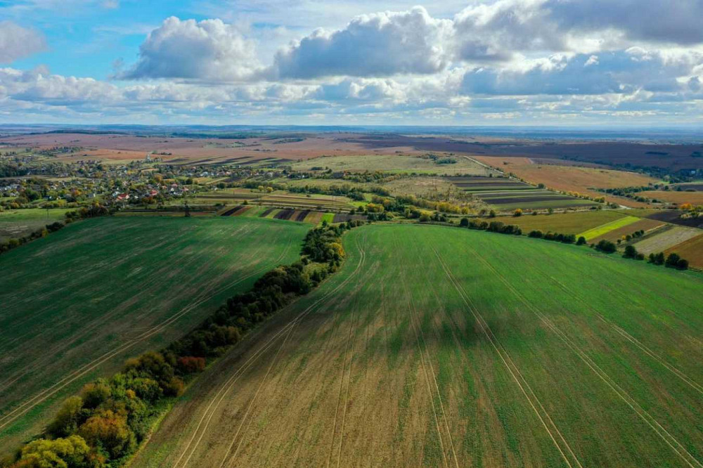 продажа земля сельскохозяйственного назначения Львов, Новый Роздол, 162000 $ Новий Розділ - зображення 6