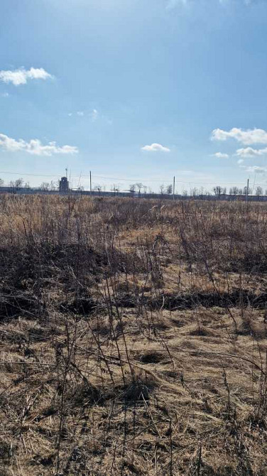 продажа земля сельскохозяйственного назначения Белоцерковский, Белая Церковь, 15000 $ Белая Церковь - изображение 5