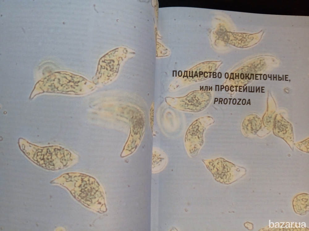 Энциклопедия Животные Львів - зображення 3