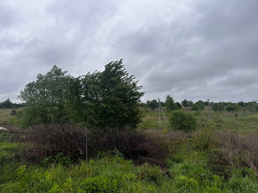 Продаж землі Зубра 12сот осг бічна Лесі Українки Львів - зображення 8