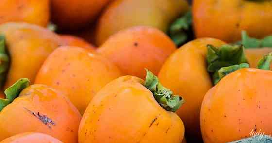 Продам саджанці хурми Сквира