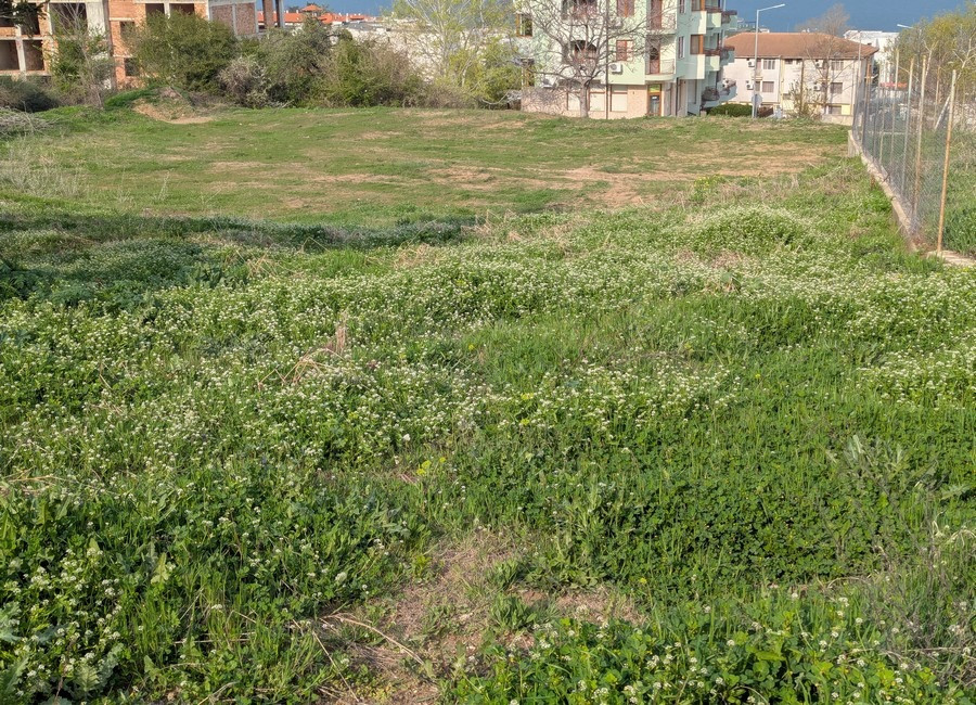 Участок рядом с морем, под строительство дома, в г. Бяла Одеса - зображення 5