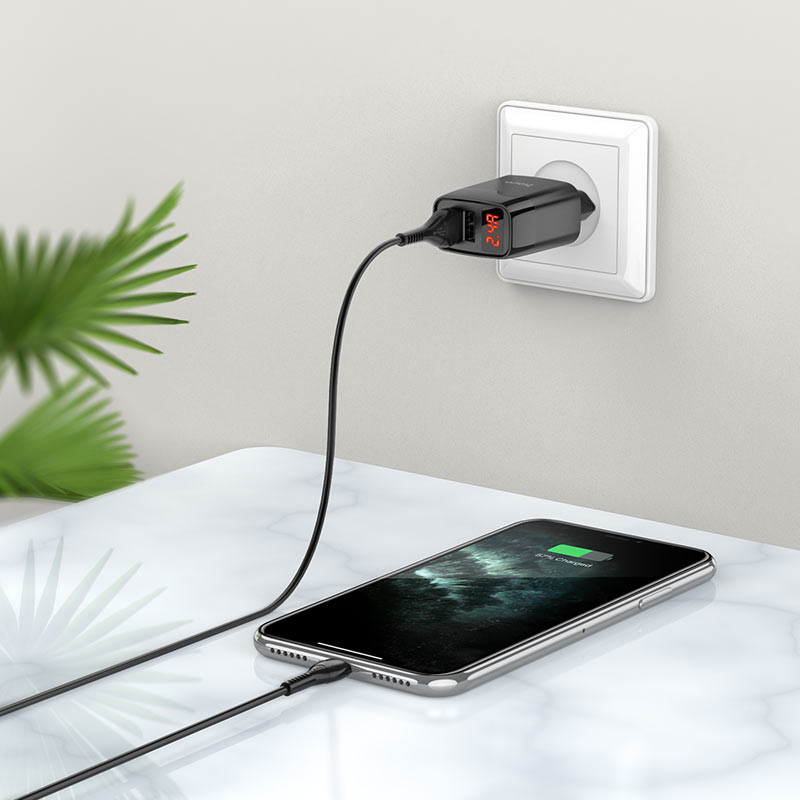 СЗУ Hoco C86A Balance 2.4A (2USB-A) + кабель USB to MicroUSB Херсон - зображення 2