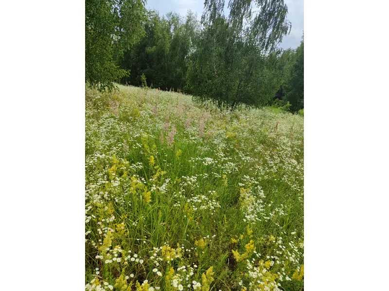 продажа земля сельскохозяйственного назначения Бородянский, Озера, 13082028 грн.  - зображення 10