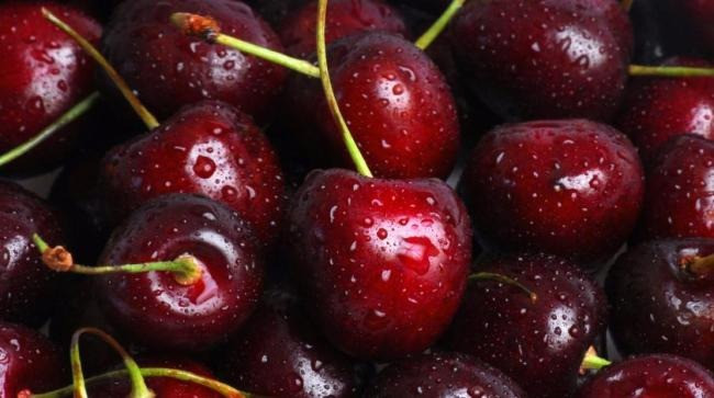 Продам саджанці вищень Сквира - зображення 1