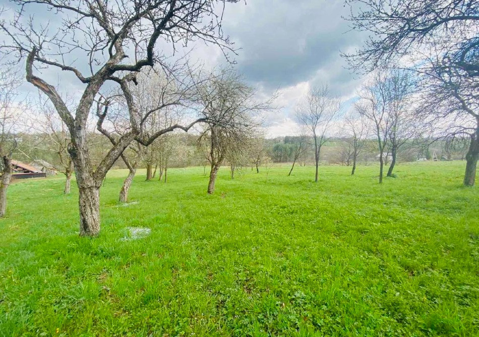 Продам будинок (господарство) в Карпатах Івано-Франківськ - зображення 12