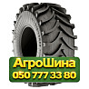 710/70R38 Днепрошина DN-103 166A8 Сельхоз шина Київ