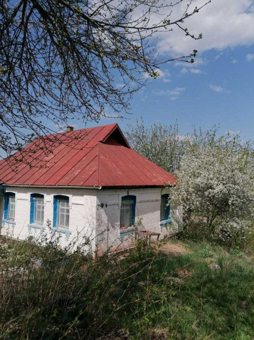 продажа 2-к дом Таращанский, Чернин, 7000 $  - изображение 5