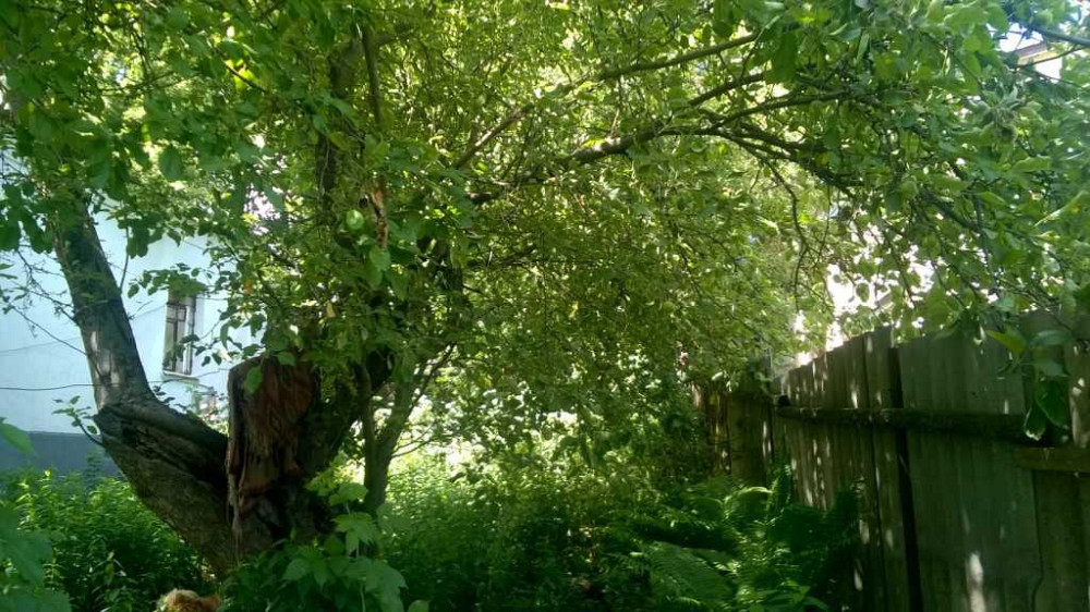 продажа 2-к дом Киев, Соломенский, 119000 $ Київ - зображення 3