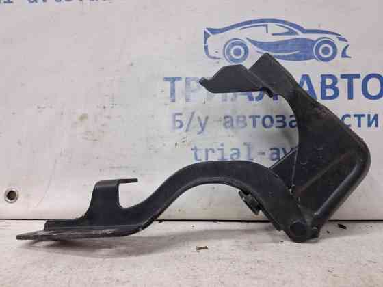 Петля капота левая Chevrolet Captiva C140 2.2 DIESEL Z22D1 2006 (б/у) Киев