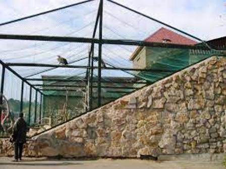 Сетка для птичьих вольеров Черновцы - изображение 3