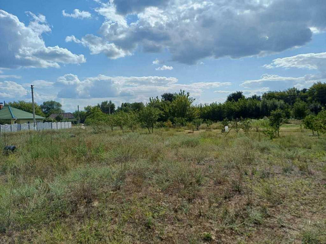 продажа 3-к дом Васильковский, Погребы, 39000 $  - изображение 8