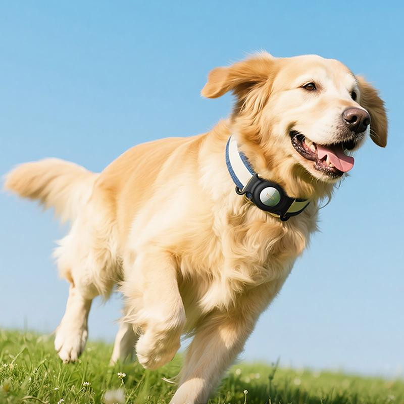 Трекер Hoco E91C Tiger для ошейника 230 mAh Херсон - изображение 5