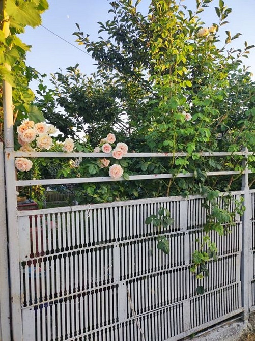 Дом дача очень классная Овидиополь - изображение 2