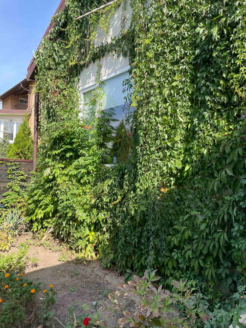 Продам уютную дачу на р. Днепр пос.Диброва. Дніпро - зображення 3