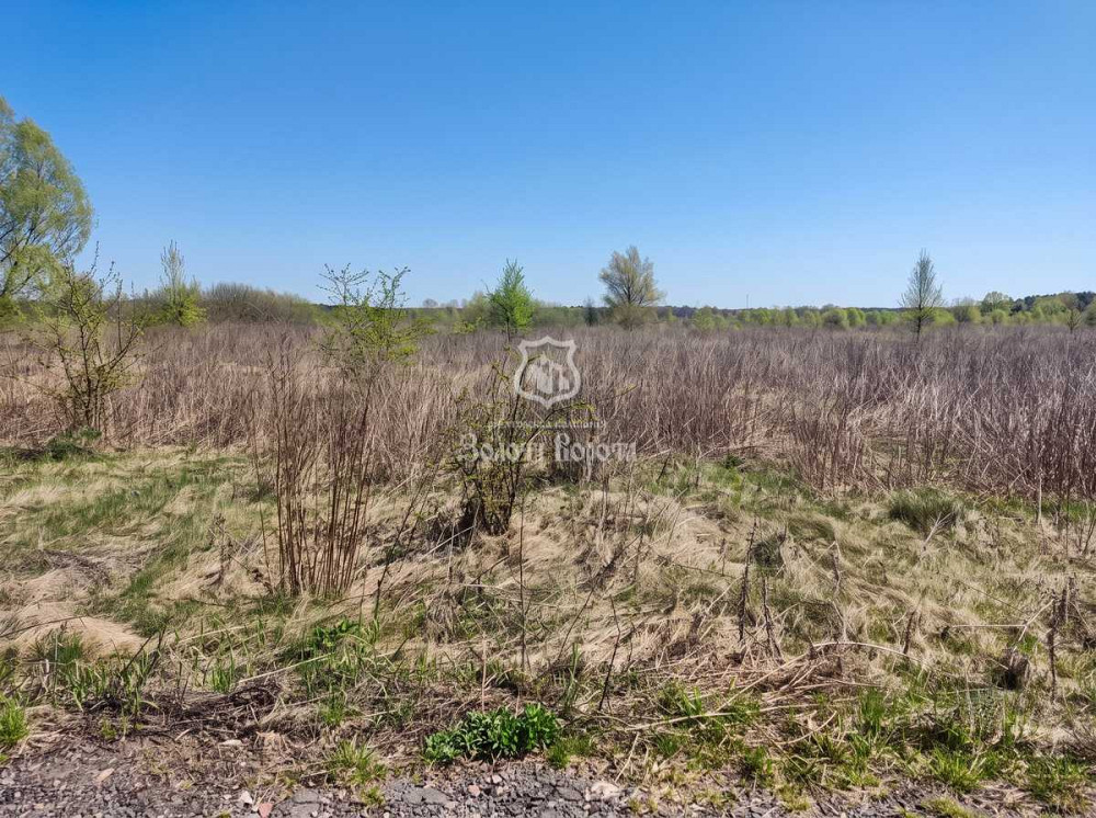 продажа участок под жилую застройку Броварский, Леточки, 56000 $  - изображение 3
