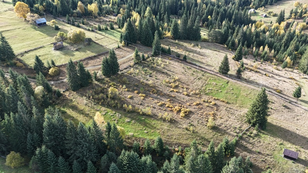 Земельна ділянка в Яблуниці 0.51 га Яремче - изображение 4