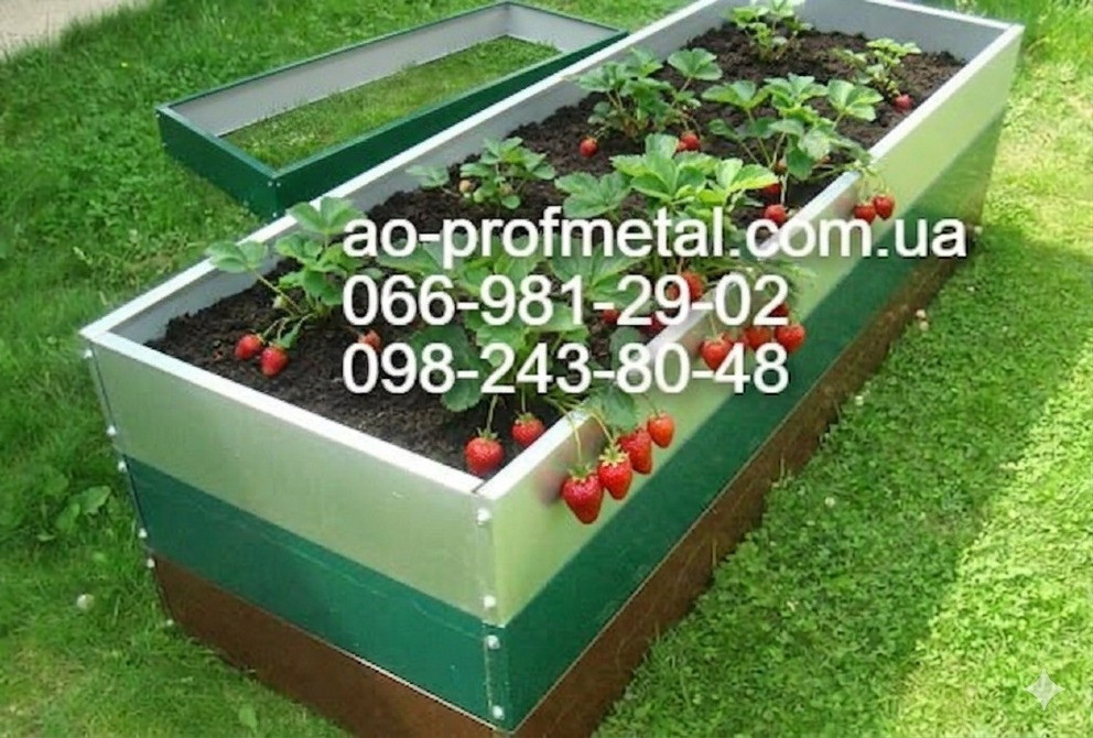 Грядка оцинкована, грядка на дачу для огірків. Київ - зображення 5