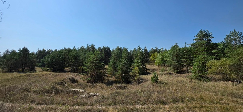 Продам 2,12 га землі в лісі, Царичанський район. Дніпро - зображення 1