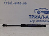 Амортизатор крышки багажника Infiniti Q50 V37 2.2 DIESEL OM651 2013 (б/у) Киев
