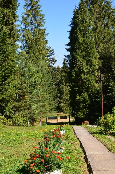 Східниця. Оренда кімнат в національному парку. Лікування Борислав - изображение 6