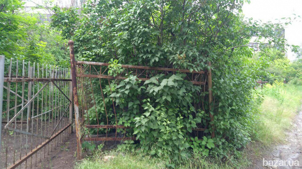 Уборка могил Миколаїв - зображення 1