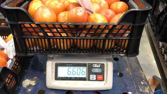 Продаем томаты Київ