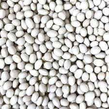 Продаж насіння квасолі. Посівний матеріал квасолі. Суми - зображення 1