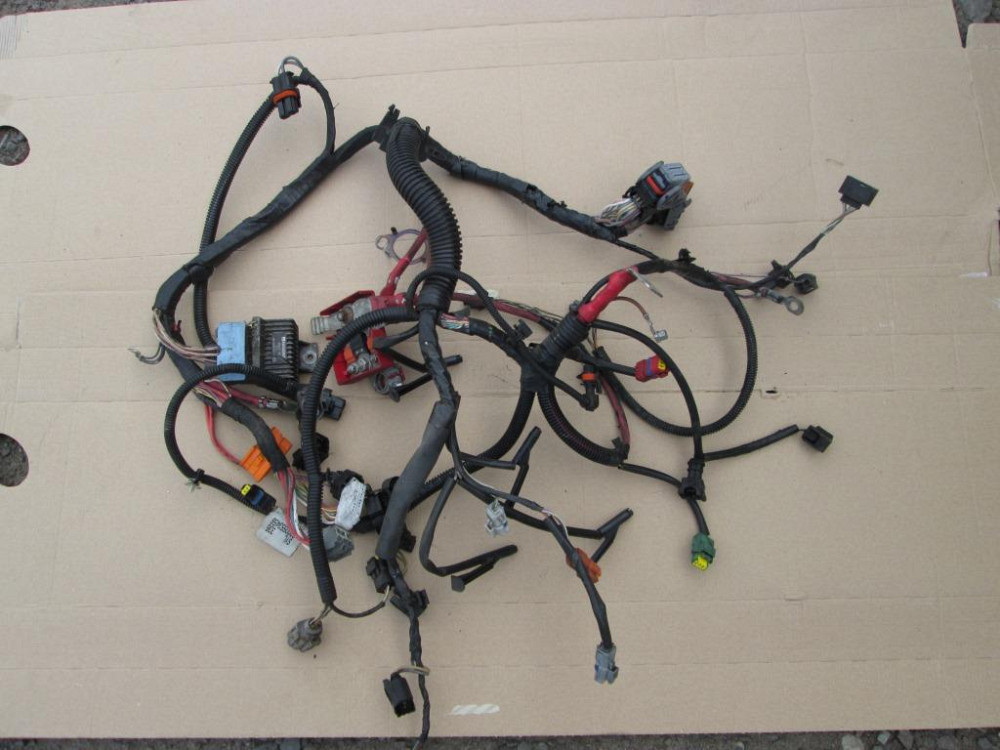 Проводка двигателя Renault Scenic II 1.5 dci 2003-2009 Ковель - изображение 1