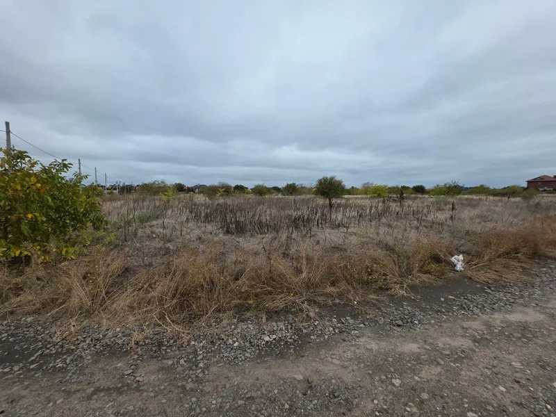 продажа участок под жилую застройку Овидиопольский, Лиманка, 564385 грн.  - изображение 2