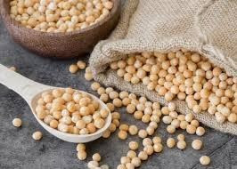 Закупка сої на постійній основі Хмельницький - зображення 1