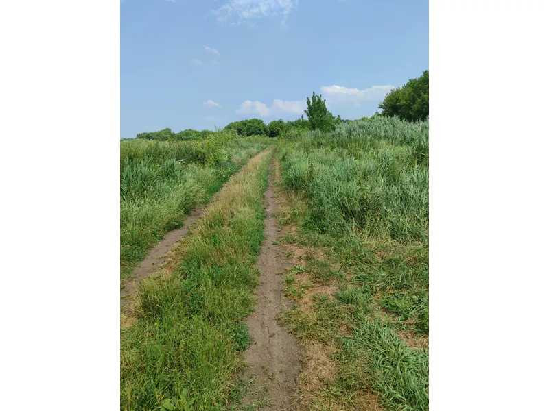 продажа земля сельскохозяйственного назначения Бородянский, Озера, 16265154 грн.  - зображення 7