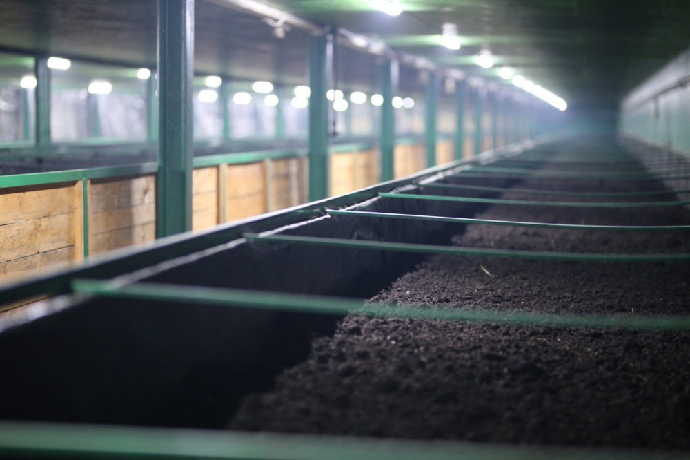 Продаж вівчарської ферми Шепетівка - зображення 4