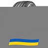 255/55 R18 Bridgestone Blizzak DM-V3 109T Позашляхова шина Киев