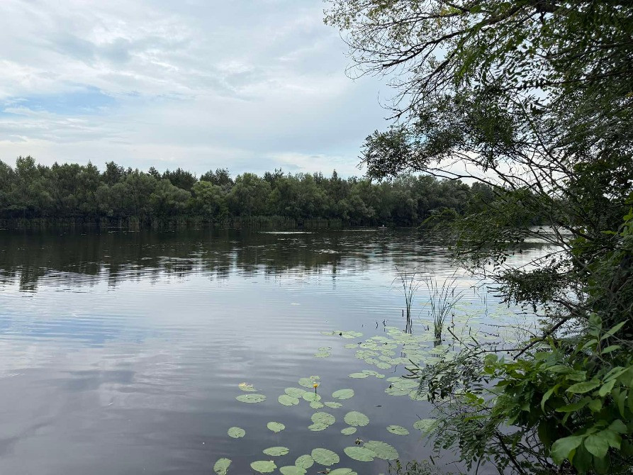 Продам дві ділянки у лісі з виходом до р.Орель, Царичанський район. Дніпро - зображення 3