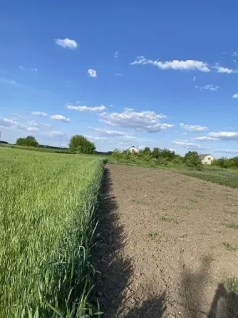 Продам земельну ділянку під забудову Умань