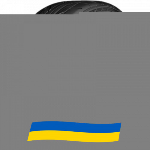 225/45 R19 Nitto NT555 G2 96Y Легкова шина Київ - зображення 1