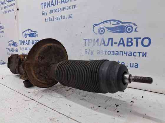 Амортизатор передний левый Suzuki SX4 2006-2014 41602-79J01 (Арт. 65055) Киев